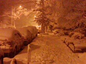 blizzard 2010 february 074