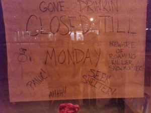 blizzard 2010 february 079