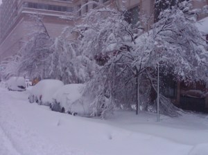 blizzard 2010 february 104